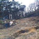 솔숲농원 이미지