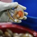 갈미1로 이미지