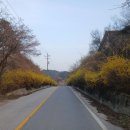 청풍 파노라마 뷰 이미지