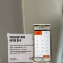 로스팅타이거 | 성수동 조용한 티카페, [맥파이앤타이거 성수티룸] 후기 🌿