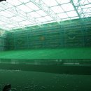 바디 앤 소울 이미지