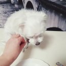 까까곳간 이미지