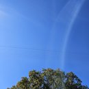 강남정공원 이미지