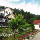 펜션1996 이미지