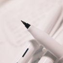 (주)수성 | 다이소 세필 수성펜 후기 DAISO PENMAX