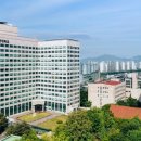 2018년 거리로 나온 예술 이미지