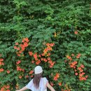 한강화장실 뚝섬16 화장실 이미지