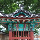 박진 효자비 이미지