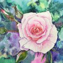 감성일러스트 이미지