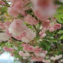 자매펜션 이미지