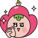 브라보pc 이미지