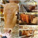 정다운농장 이미지