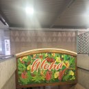 우현농장 | 하와이 신혼여행 🌺 Day 1~3 | 빅아일랜드(코스트코, 코나조 커피 농장, 만타레이 투어)