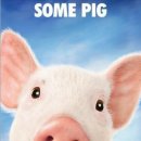 샬롯의 거미줄 이미지