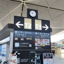 바나나배터리 | 나고야 주부국제공항 2터미널 이용 후기 | 면세점·맛집·제주항공 7C1202편 탑승 후기 보조배터리 규정