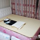 H1332 이미지
