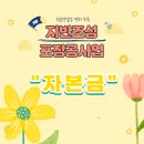 야적장 조성공사 네이버블로그