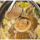 백합칼국수 이미지