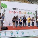 용인대 화성체육관 이미지