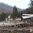 남해편백자연휴양림 이미지