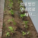 의료법인 연송의료재단 네이버블로그