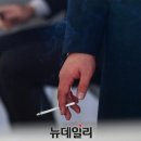 지지전자 이미지