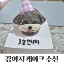 도크도크 | 은평구 도크도크 추천 강아지 생일 케이크 주문제작 리뷰
