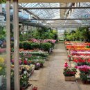 자양꽃직매장 이미지