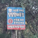 평새말목장2 | 가족들과 직접 다녀온 남해양떼목장비교 솔직 후기! 남해가볼만한곳 2월 상상양떼목장 편백숲 강추 🐏