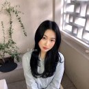 데이미헤어