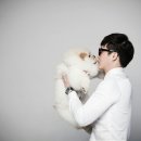 루루애견 이미지