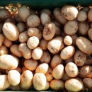 아우농장 이미지