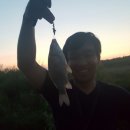 임진강장어 이미지