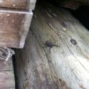 자연애농장 이미지