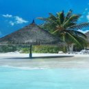 장안무도클럽 이미지