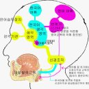 ★(답변)★ 영절하 vs 운동맨 제이의 최선영어습득법 2편 (더 구체적인 부연설명) 이미지