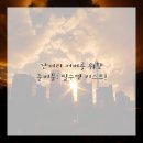 댕댕이미용 이미지