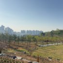 허브숲