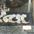 욱일농장 이미지