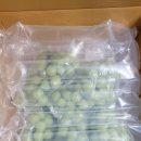 동탄검도관 이미지