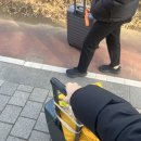 세븐일레븐문정공원점 | 자유여행ㅣDay1 비행기 아시아나 기내식 탑승후기, 일본 겨울 여행준비물 이심 온라인입국심사작성...