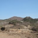 포항시남구21 이미지