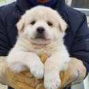 화상천로 이미지