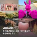 시와 노래 그리고 마을 영월드 | 경주 바니베어 뮤지엄 아이랑 가볼 만한 곳 남매 방문 후기