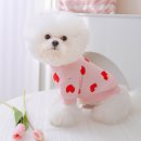 도그월드 이미지