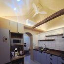 스테이치목 이미지