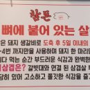 참돈생고기 이미지