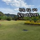 WG골프랜드 네이버블로그