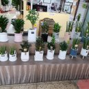 초원꽃집 이미지