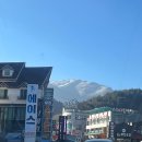 무주읍183 | [전북] 무주 덕유산 눈꽃산 보고 온 후기(곤돌라 예약, 이용, 웨이팅)